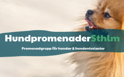 HundpromenaderSthlm – Sthlm största promenadgrupp