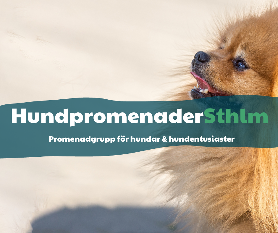 HundpromenaderSthlm